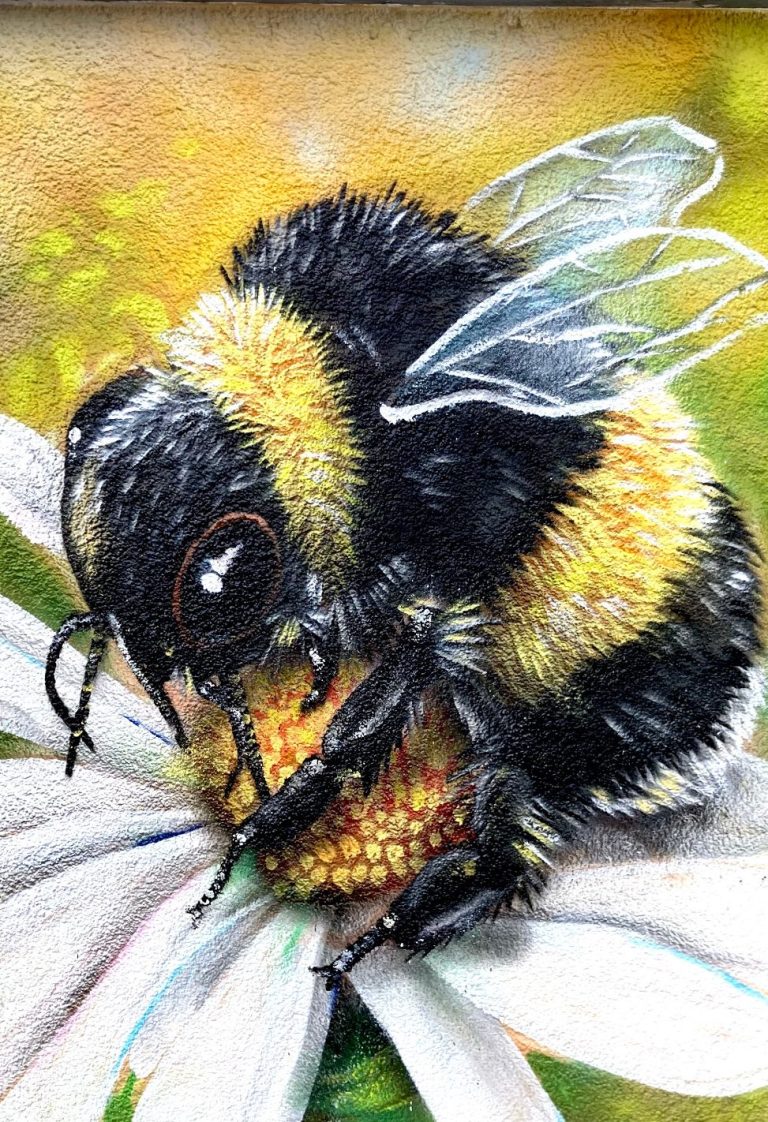 
Realistische Graffiti-Wandmalerei mit einer Hummel auf weißen Blüten vor grünem Hintergrund an einer Terrassenwand in Essen
