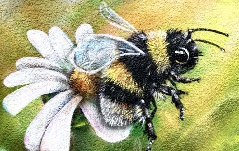 
Realistische Graffiti-Wandmalerei mit einer Hummel auf weißen Blüten vor grünem Hintergrund an einer Terrassenwand in Essen
