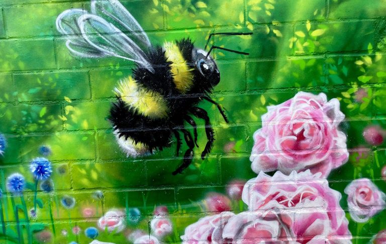 Farbenfrohes Graffiti mit Initialien auf einer Gartenwand in Sankt Augustin, kombiniert mit Pflanzen, Blüten und Hummel