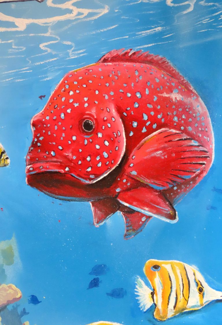 Großes Unterwasser-Graffiti mit rotem Snapper, Fischen und Korallen im Innenhof des Mad Monkeys Waterfront Hostels in Cairns
