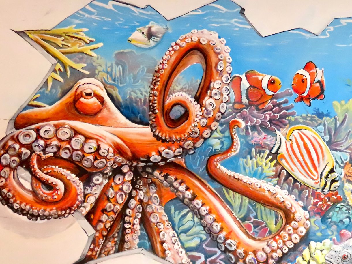 Großes Unterwasser-Graffiti mit orangefarbenem Oktopus, Fischen und Korallen im Innenhof des Mad Monkeys Waterfront Hostels in Cairns