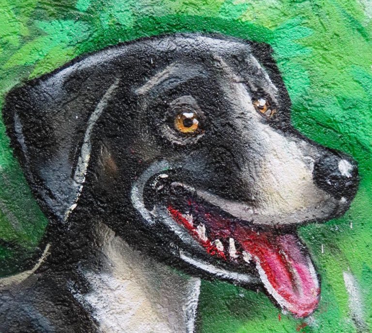 
Graffiti Haustiere an einer Außenwand in Altfrauenhofen: ein schwarzer Hund am Eingangsbereich
