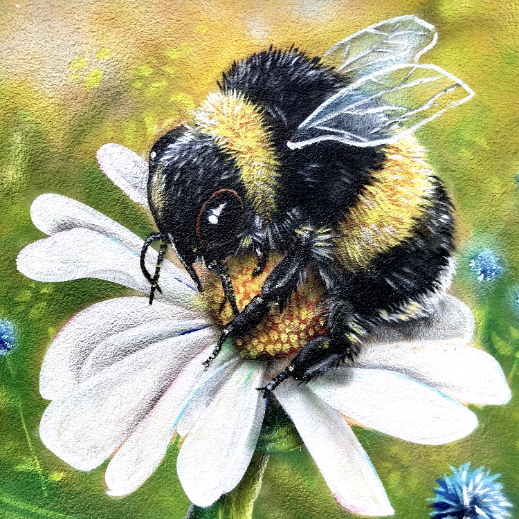 Graffiti-Wandbild einer realistischen Biene auf einer weißen Blüte