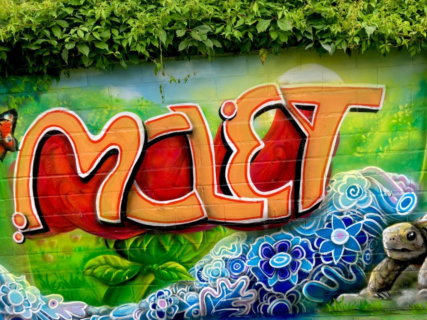 Farbenfrohes Graffiti mit Initialien auf einer Gartenwand in Sankt Augustin, kombiniert mit Pflanzen, Blättern und Tieren