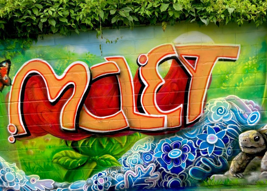 Farbenfrohes Graffiti mit Initialien auf einer Gartenwand in Sankt Augustin, kombiniert mit Pflanzen, Blättern und Tieren
