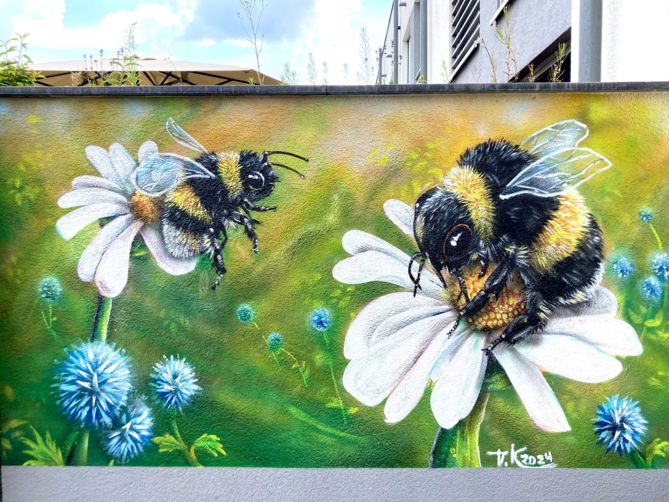 Realistische Graffiti-Wandmalerei mit zwei großen Hummeln auf weißen Blüten vor grünem Hintergrund an einer Terrassenwand in Essen